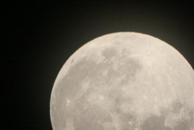 img_8100.jpg